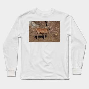 Red Deer Long Sleeve T-Shirt